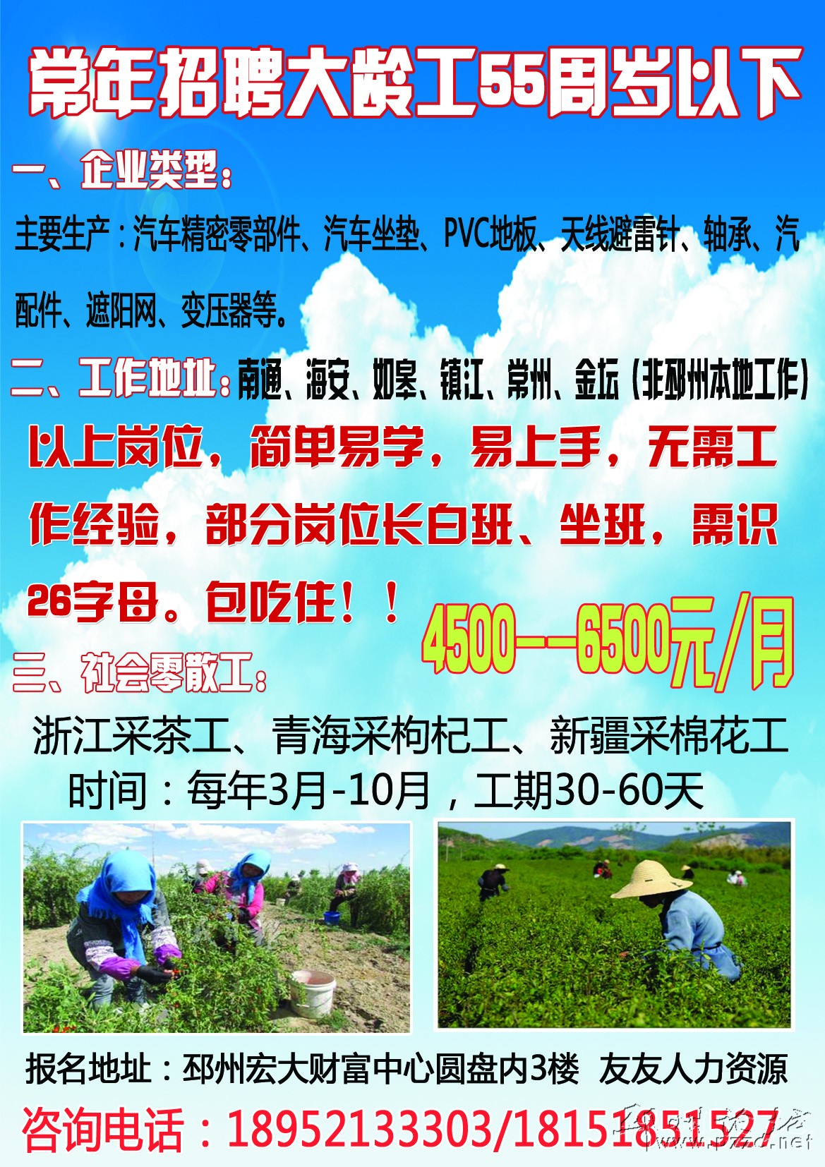 沙县网招聘网最新招聘动态深度解读与解析报告