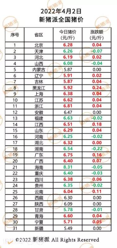 最新今日猪价分析与展望，市场走势及未来趋势解析