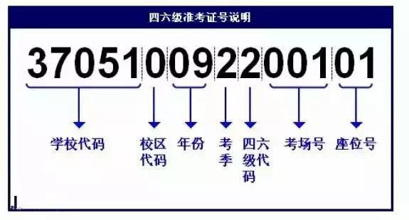 新澳门免费全年资料查询,快速设计解析问题_微型版29.799