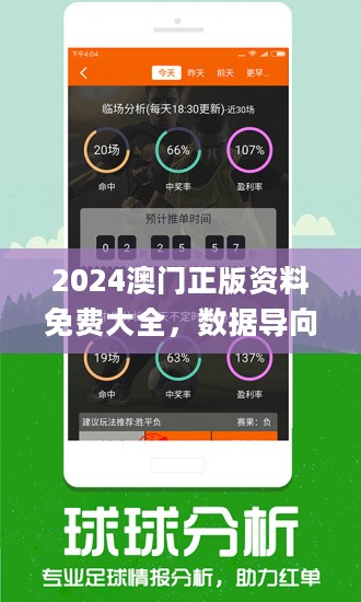 新澳精准资料免费提供265期,现状解答解释定义_高级版84.316