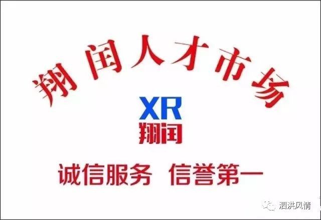 泗洪招聘网最新招聘动态深度解读与解析