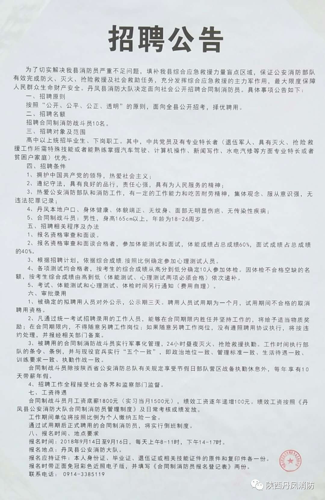 金寨县招聘网最新招聘动态深度解析与解读