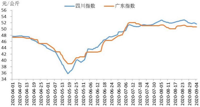 丶宠╰坏 第2页