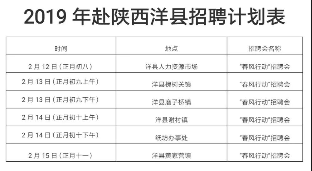 洋县招聘网最新招聘动态深度解析及解读