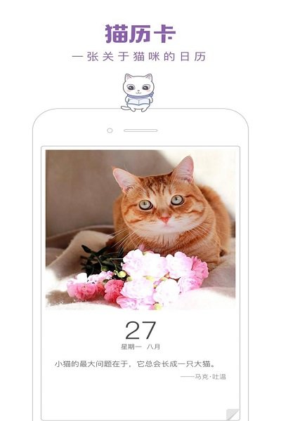 猫咪官方最新版app，探索全新猫咪世界之旅