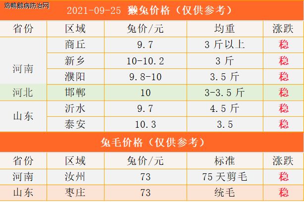 獭兔价格最新行情解析