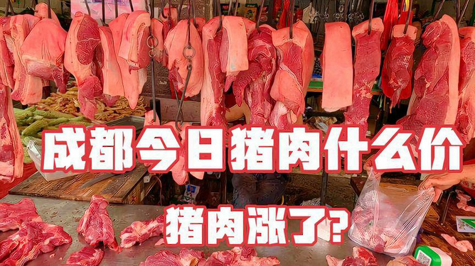 今日猪肉市场最新价格分析与展望，市场趋势及未来预测