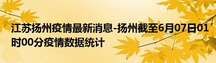 江苏扬州疫情最新动态，坚定信心，共克时艰