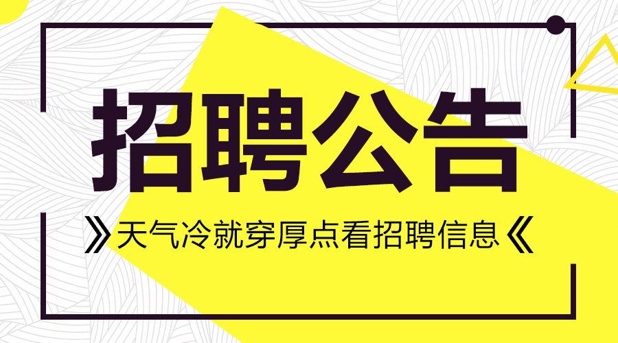 石家庄招聘网最新动态深度解析，求职招聘趋势及机会洞察