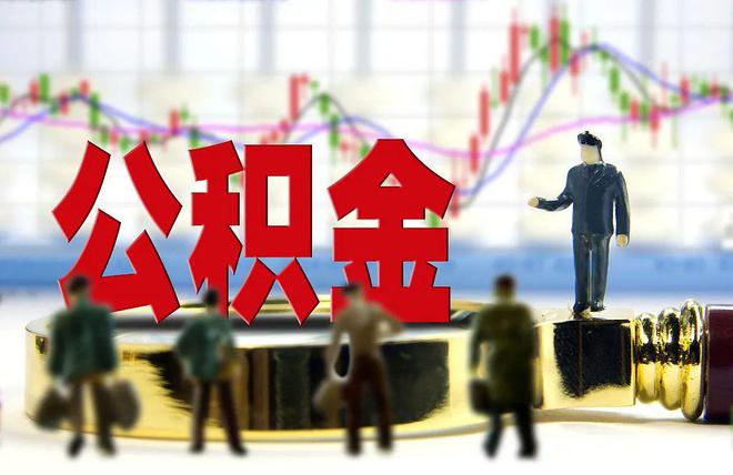 公积金改革最新动态，政策动向深度解读与行业变革展望