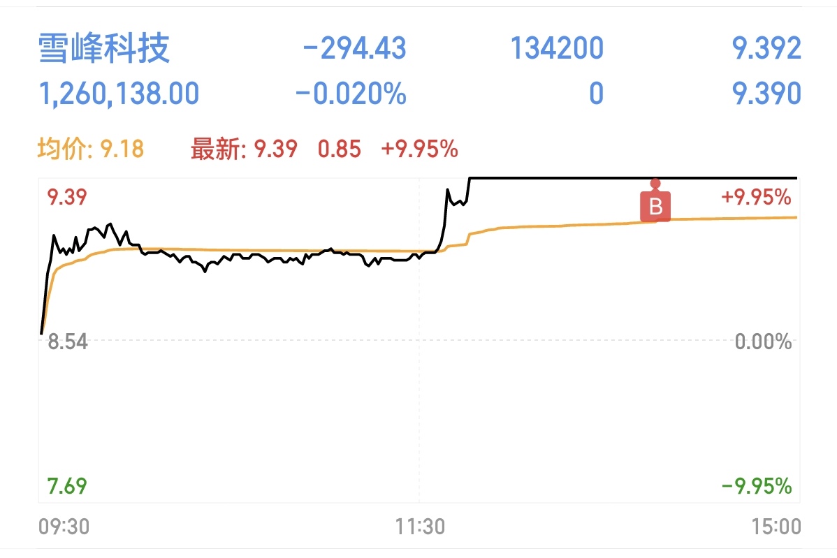 雪峰科技最新消息深度解读