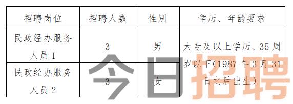 亳州最新招聘动态，共创未来，把握职业新机遇